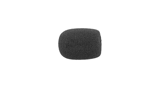 Microphone Sponge